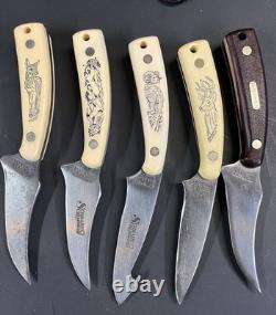 5 Schrade Scrimshaw Fixed Blade Knives Knife Lot