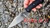 Al Mar B 21 Fixed Blade Knife Review New For 2024 Hunting Tactical Fishing Hiking Outdoors