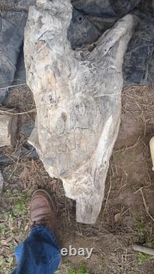 Casexx Leather Hunting Set (M3Finn SS & 316-5 SS) WithSheaths. 140.00 No Lower