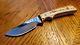 Custom Buck 919 919ekslc Skinner Limited Fixed Elk Stag Hunting Knife