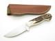 Custom Mike Irie CPM154 Stag 3 Drop Point Fixed Blade Hunting Knife