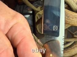 Custom Nolan fix blade skinner/Hunter style Knife, 5to9Lg with custom Sheath