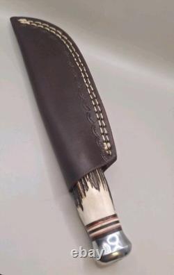 Fes Ferdinand Everts Sohn Gmbh &co. Germany Knife Stag Hndl Rostfrei Blade Mint