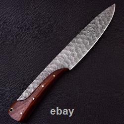 Full Tang Damascus Steel Hunting & Survival Knife Handmade Bowie with Sheath