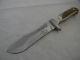 German Stag Hen & Rooster White Hunter Style Puma Hunting Survival Knives Knife
