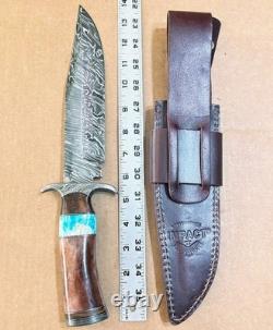 IMPACT CUTLERY WHOLESALE LOT of 10 LARGE FIXED BLADE KNIVES All With CRACK Handles