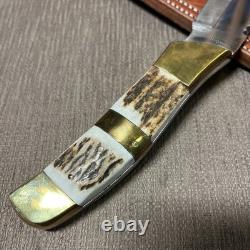 Large, Custom Handmade, FW Olivetto, Inox, Stag, Custom Sheath