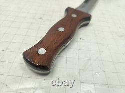 Lil Bandit Knife Japan Sab Jk-415 Dagger