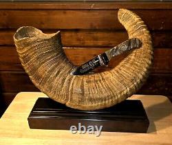 NRA Big Horn Sheep Horn Knife Display