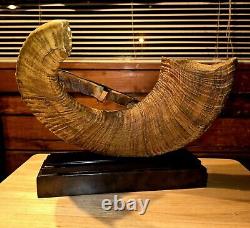 NRA Big Horn Sheep Horn Knife Display