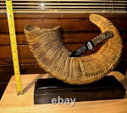 NRA Big Horn Sheep Horn Knife Display