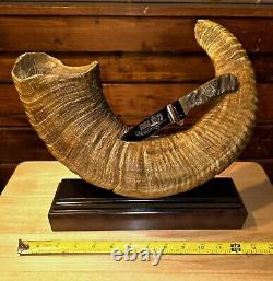 NRA Big Horn Sheep Horn Knife Display