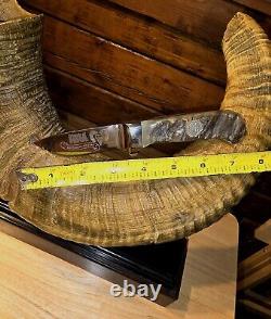 NRA Big Horn Sheep Horn Knife Display