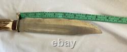 Rare Vintage Solingen Hunting Knife Stagg Wildcat 8X Large W / Sheath