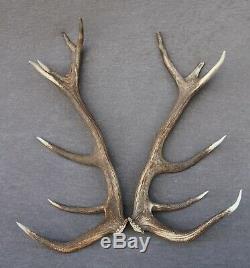 Shed Wild Red Deer Antler Set Pair (horn, Knife, Carving, Chew, Taxidermy)