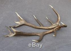 Shed Wild Red Deer Antler Set Pair (horn, Knife, Carving, Chew, Taxidermy)