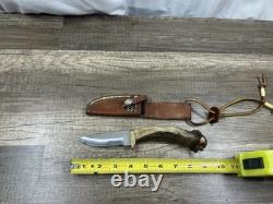 Silver Stag USA Fixed Blade Hunting Knife With Stag Handle And Brass Guard
