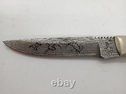 Vintage Fury Bird and Trout Fixed Blade Knife. Very Rare