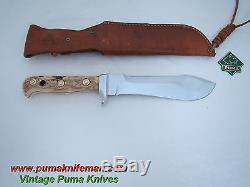 Vintage Pre-1964 Puma White Hunter 6377 STAG Fixed Blade German Hunting Knife