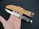 Vtg BONSA SOLINGEN Germany Stag Handle Antique/Rare Hunting Knife + Sheath