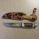 Vtg Henley & Co Solingen Germany Fixed Blade Knife Camping Scene Blade Stag