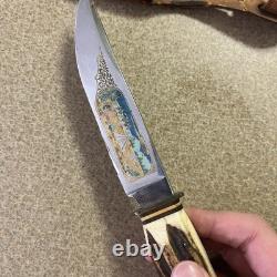Vtg Henley & Co Solingen Germany Fixed Blade Knife Camping Scene Blade Stag