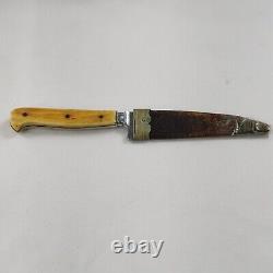 Vtg Rare Rostfrei Soligen Germany Hunting Knife Bone Handle 7.5 w Sheath AWJR