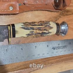 Wild Cat 24X Fixed Blade Hunting Knife Clip Point Stainless Stag Handle w Sheath